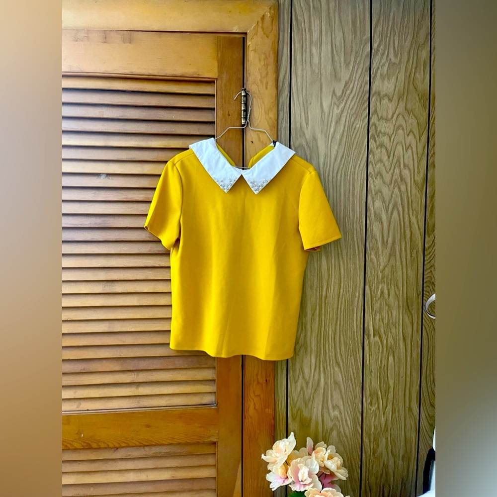 Collared blouse